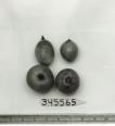 Click for 1 image(s) for this accession. FRUIT